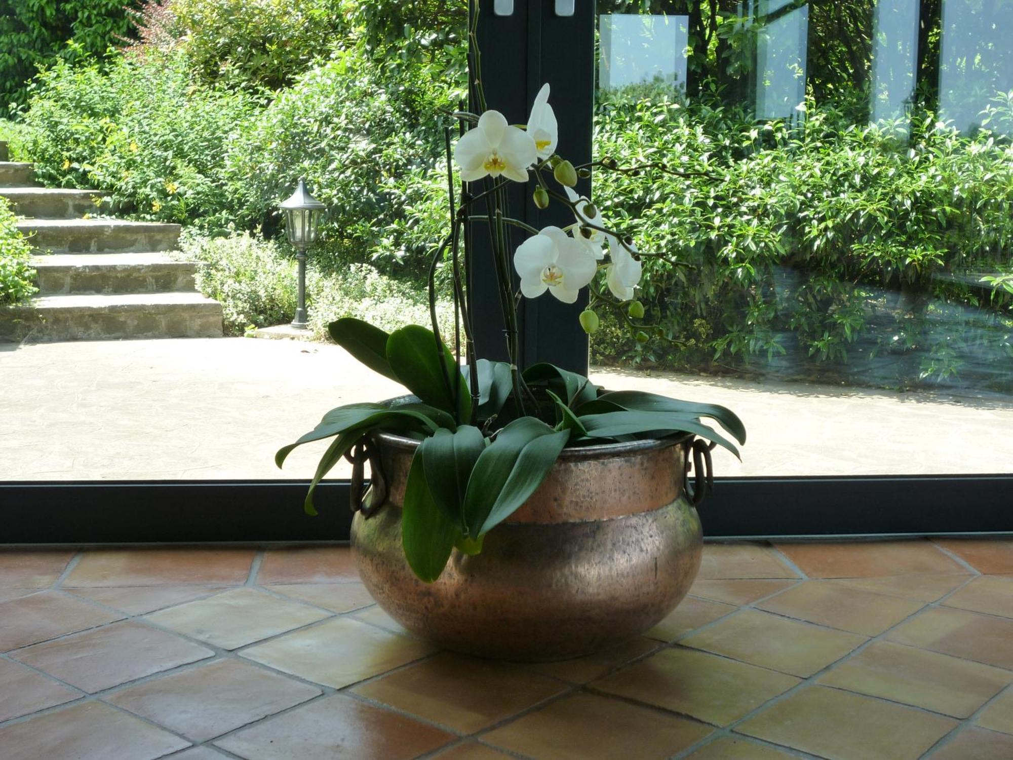 Country House Barone D'Asolo Exteriör bild